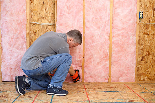 Best Specialized Insulation Services in Danville, CA